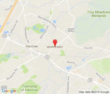 logo-image - whippany-nj